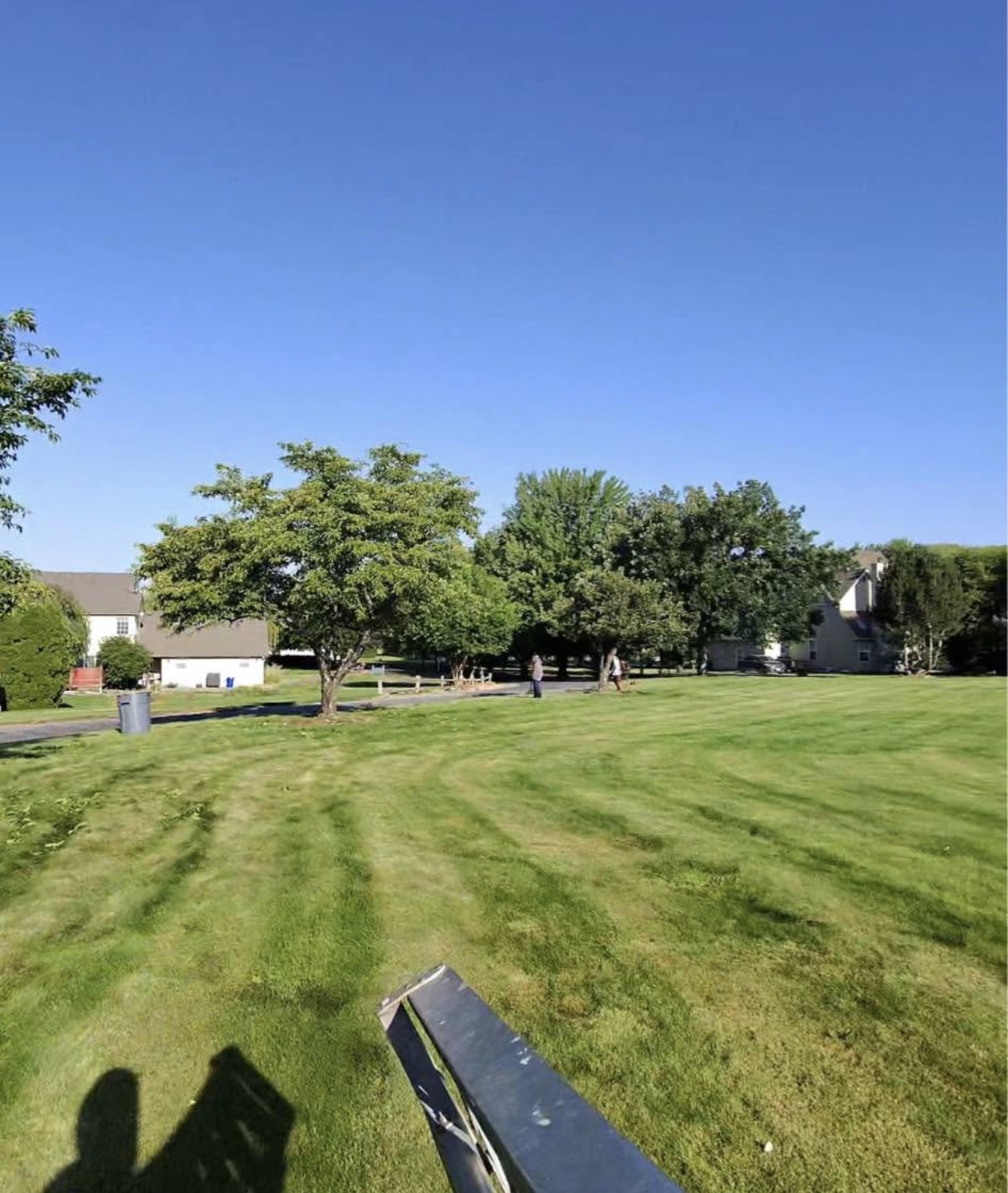 Fall Cleanup by Mauro Landscaping