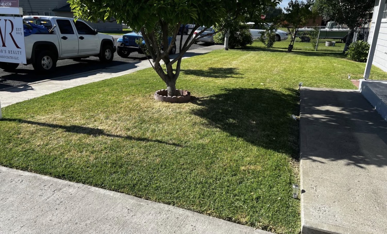 Bush Trimming by Mauro Landscaping