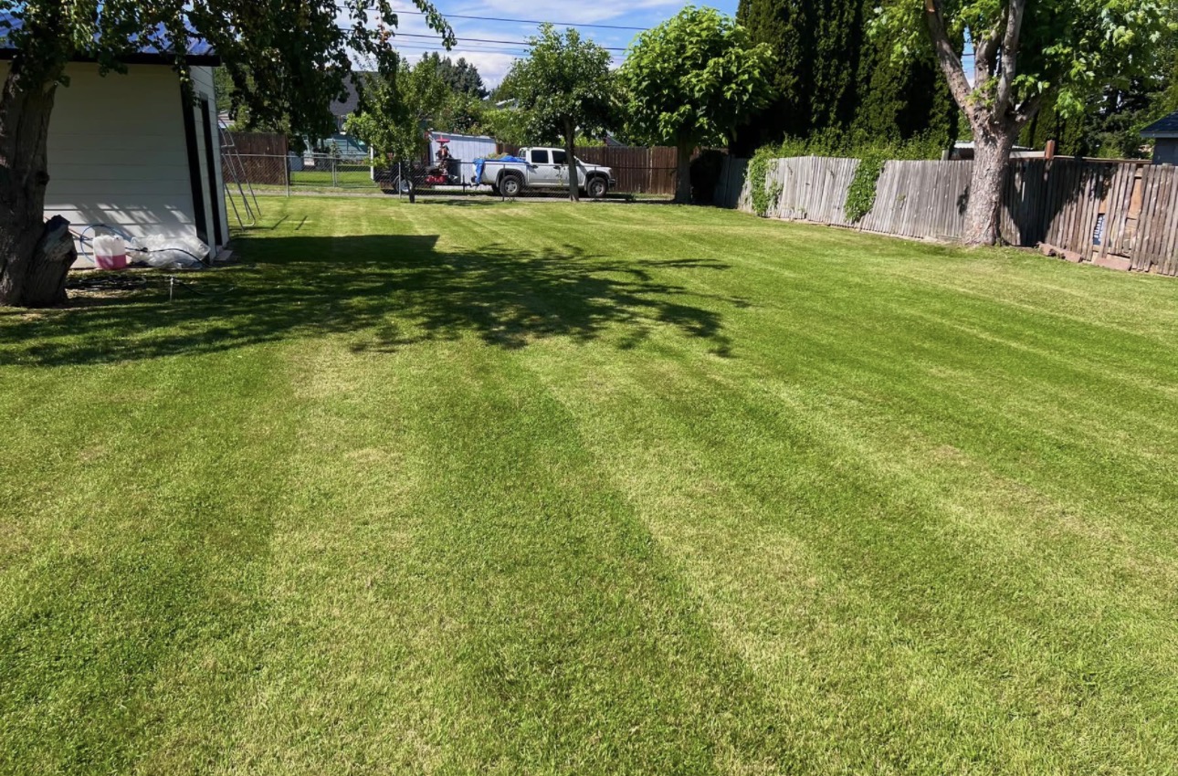 Lawn Maintenance by Mauro Landscaping